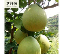 贛州柚子產品庫——優質柚子批發，盡在江西產品庫