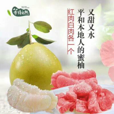 湖北宜昌秭歸縣柚子 沙田柚批發(fā)市場(chǎng)探析，0.60元/斤的價(jià)格優(yōu)勢(shì)與品質(zhì)保障