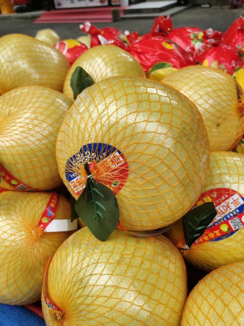 湖北宜昌西陵區(qū)白心蜜柚 產(chǎn)地直供，品質(zhì)優(yōu)價(jià)格美