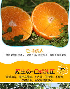眉山愛(ài)媛38號(hào)果凍橙 自然鮮甜，孕媽首選的多規(guī)格柑橘批發(fā)佳品