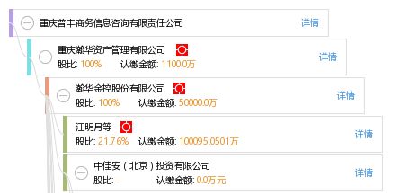 重慶普豐商務(wù)信息咨詢有限責(zé)任公司 商務(wù)信息咨詢服務(wù)的領(lǐng)航者